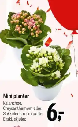Føtex Mini planter tilbud