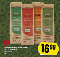 Løvbjerg Øllingegaard økologisk yoghurt, ymer el. tykmælk tilbud