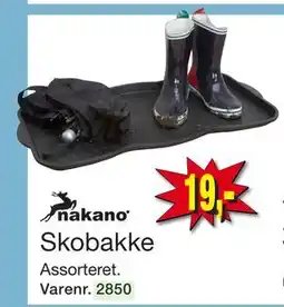Harald Nyborg Skobakke, DKK 19 tilbud