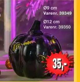 Harald Nyborg Græskar med LED, DKK 35 tilbud