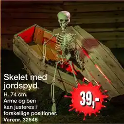 Harald Nyborg Skelet med jordspyd, DKK 39 tilbud