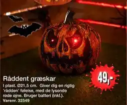 Harald Nyborg Råddent græskar, DKK 49 tilbud