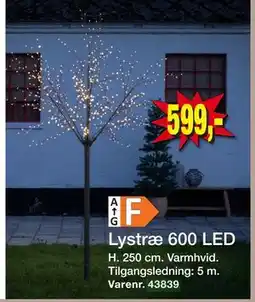 Harald Nyborg Lystræ 600 LED, DKK 599 tilbud
