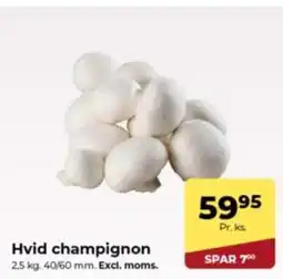 Dagrofa Food Service Hvid champignon tilbud