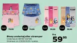 Kvickly Bluey undertøj eller strømper tilbud