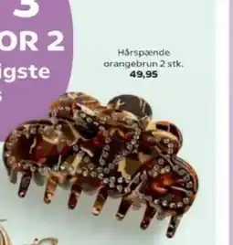 SuperBrugsen Hårspænde orangebrun tilbud