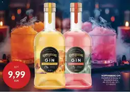 Nielsen's Discount KOPPARBERG Gin tilbud