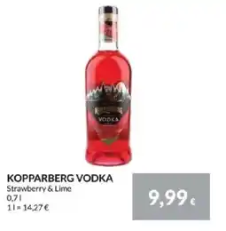 Nielsen's Discount KOPPARBERG Vodka tilbud