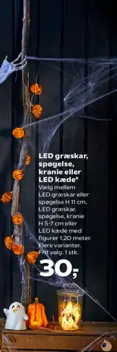 SuperBrugsen LED græskar, spøgelse, kranie eller LED kæde tilbud