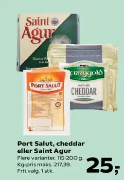 SuperBrugsen Port Salut, cheddar eller Saint Agur tilbud