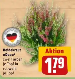 REWE DE Heidekraut >>Duo<< tilbud
