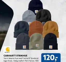 Davidsen Carhartt strikhue tilbud