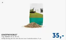 Davidsen Græsfrø robust tilbud