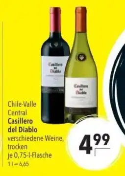 Citti Chile-Valle Central Casillero del Diablo tilbud