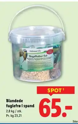 Lidl Blandede fuglefrø i spand, DKK 65 tilbud