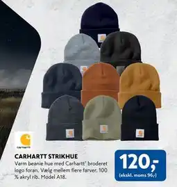 Davidsen CARHARTT STRIKHUE, DKK 120 tilbud