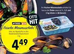 Citti Frische Miesmuscheln tilbud