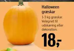 Føtex Halloween græskar tilbud