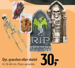 Føtex Dyr, gravsten eller skelet tilbud