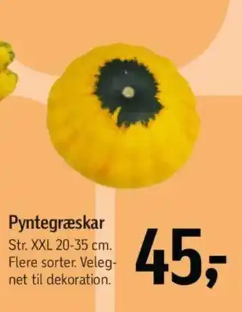 Føtex Pyntegræskar tilbud