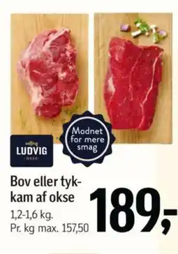 Føtex Bov eller tyk- kam af okse tilbud