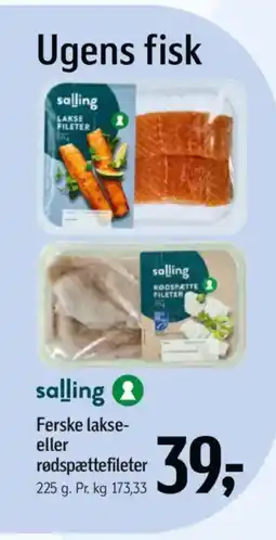 Føtex Salling Ferske lakse- eller rødspættefileter tilbud