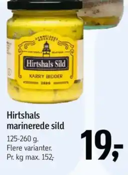 Føtex Hirtshals marinerede sild tilbud