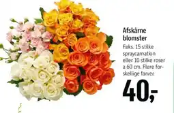 Føtex Afskårne blomster tilbud