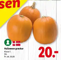 Lidl Halloween græskar tilbud