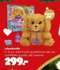Fætter BR Labradoodle, DKK 299 tilbud