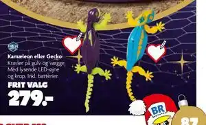 Fætter BR Kamæleon eller Gecko, DKK 279 tilbud
