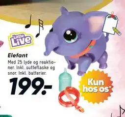Bilka Elefant, DKK 199 tilbud