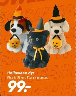 Bilka Halloween dyr, DKK 99 tilbud