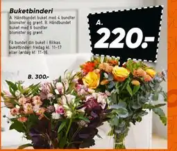 Bilka Buketbinderi, DKK 220 tilbud