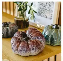 Bilka Græskar, DKK 50 tilbud