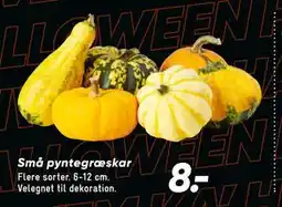 Bilka Små pyntegræskar, DKK 8 tilbud