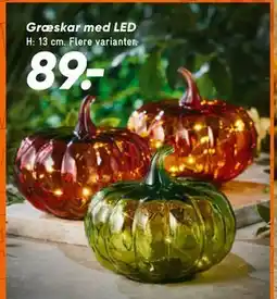 Bilka Græskar med LED, DKK 89 tilbud