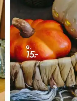 Bilka Mini græskar, DKK 15 tilbud