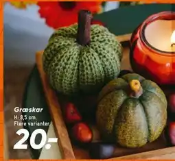 Bilka Græskar, DKK 20 tilbud