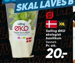 Bilka Salling ØKO økologisk basilikum, DKK 20 tilbud