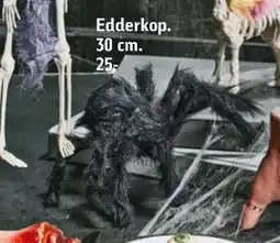Føtex Edderkop, DKK 25 tilbud