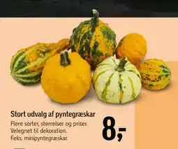 Føtex Stort udvalg af pyntegræskar, DKK 8 tilbud