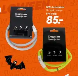 Bilka LED-halsbånd, DKK 85 tilbud