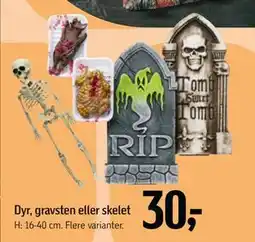 Føtex Dyr, gravsten eller skelet, DKK 30 tilbud