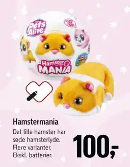 Føtex Hamstermania, DKK 100 tilbud