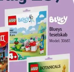 Føtex Blueys teselskab, DKK 25 tilbud