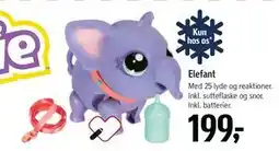 Føtex Elefant, DKK 199 tilbud