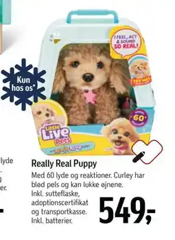 Føtex Really Real Puppy, DKK 549 tilbud