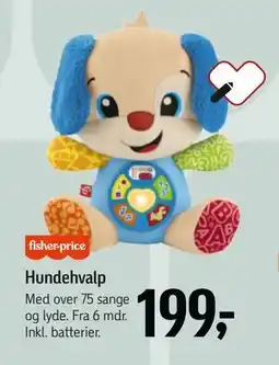 Føtex Hundehvalp, DKK 199 tilbud