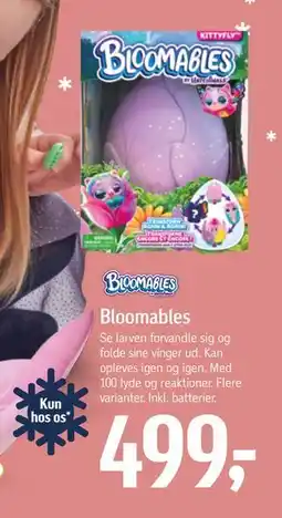Føtex Bloomables, DKK 499 tilbud